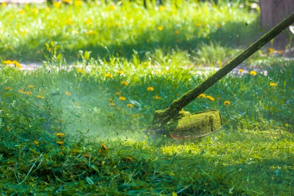 lawn care maintenance.